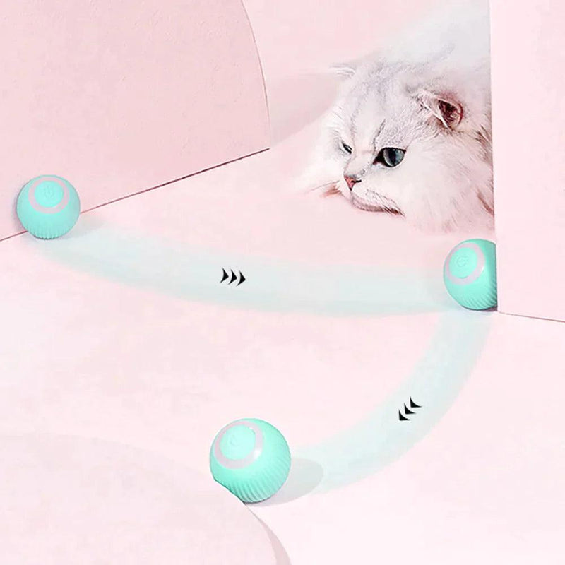Bolinha interativa para gatos - Club Mimos